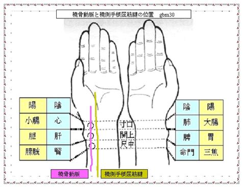 祖脈|【東洋医学】ゴロ合わせで「脈診でわかる脈の種類」を覚えよう